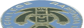 Raponda-removebg-preview_5_optimized